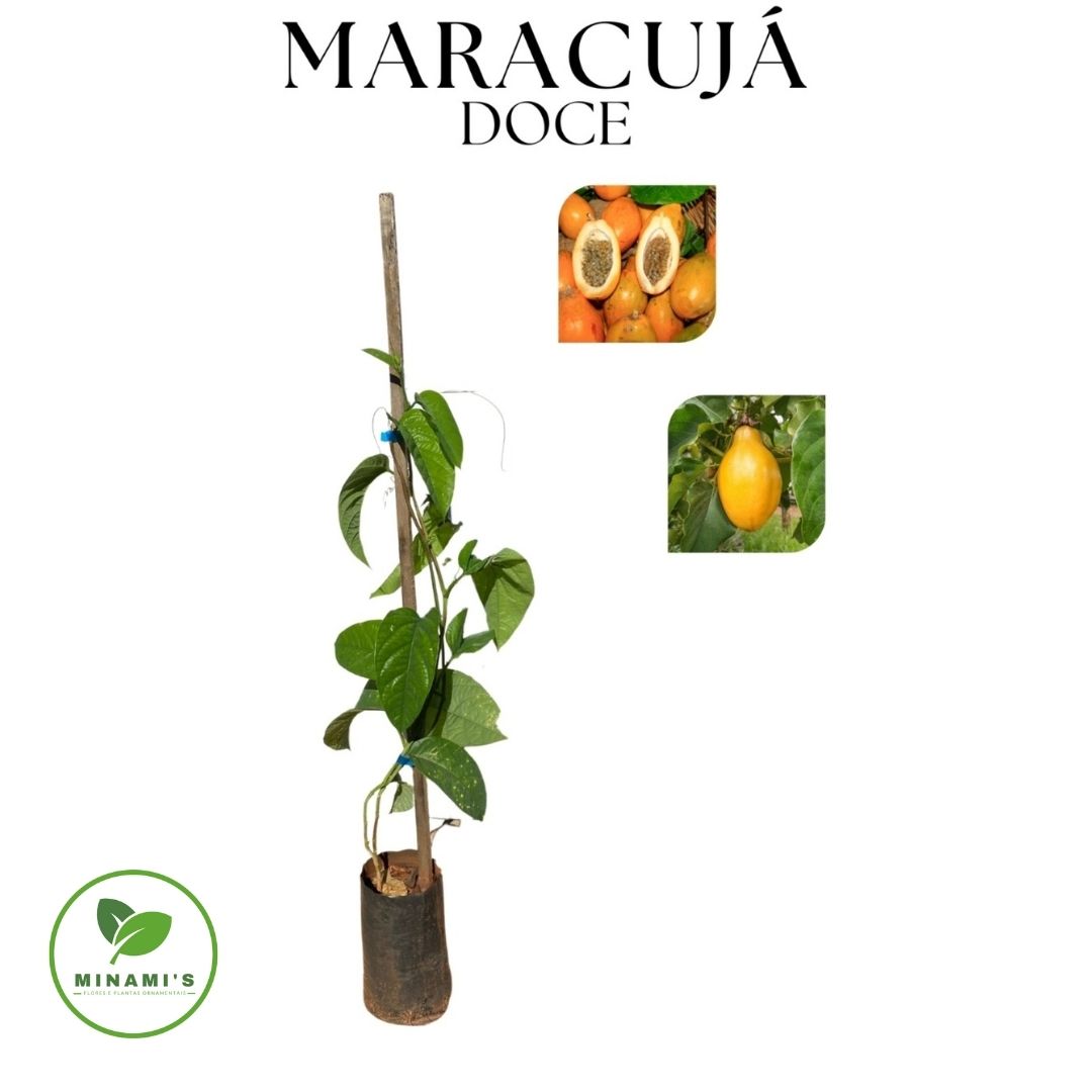 Maracujá Doce