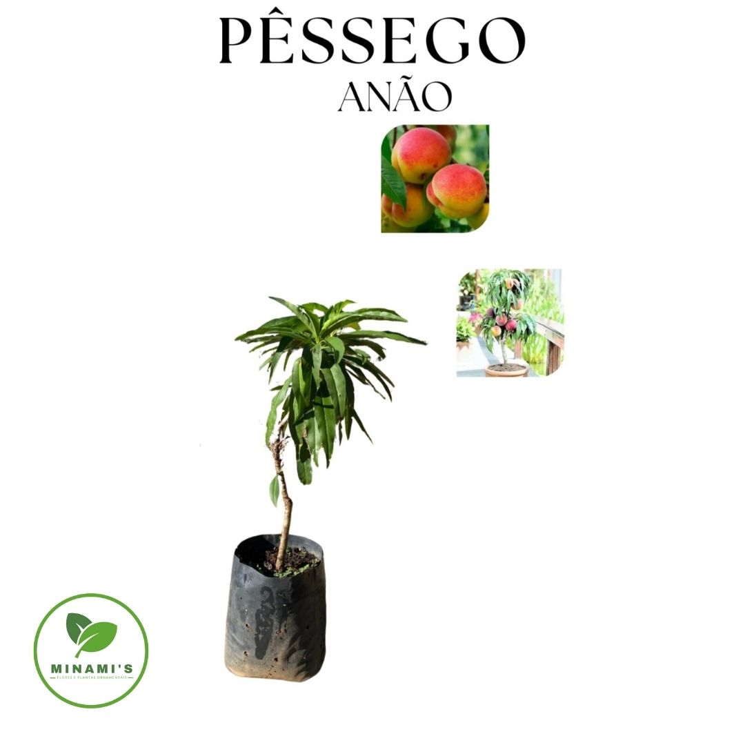 Pêssego Anão