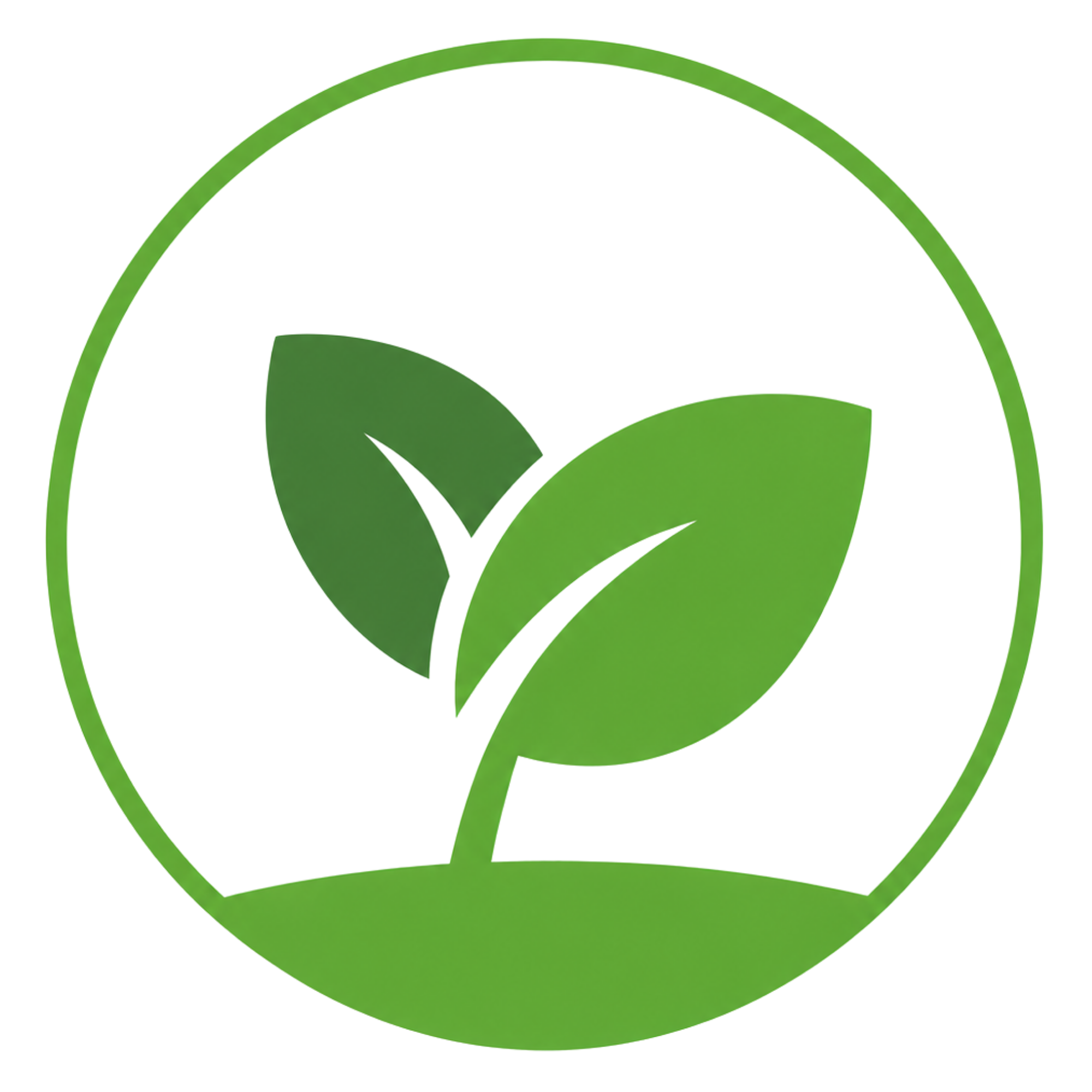 MINAMI'S - Flores e Plantas